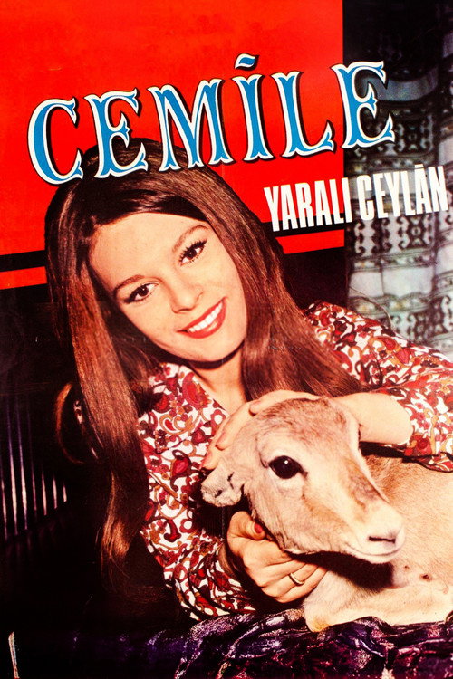 Yarali Ceylan
