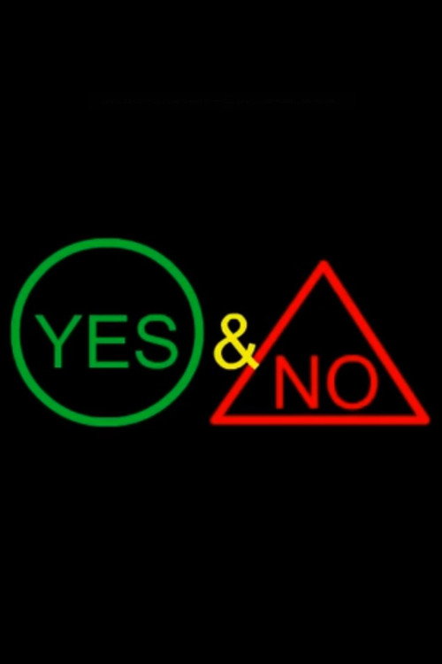 Yes & No: A Dyseducational Road Movie