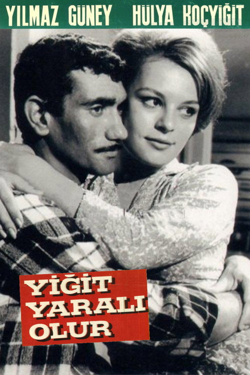 Yigit yarali olur