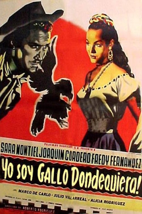 Yo soy gallo dondequiera!..