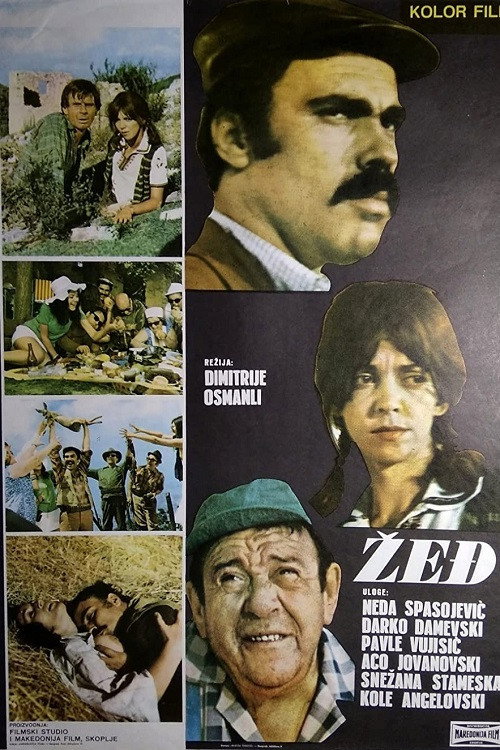 Zedj