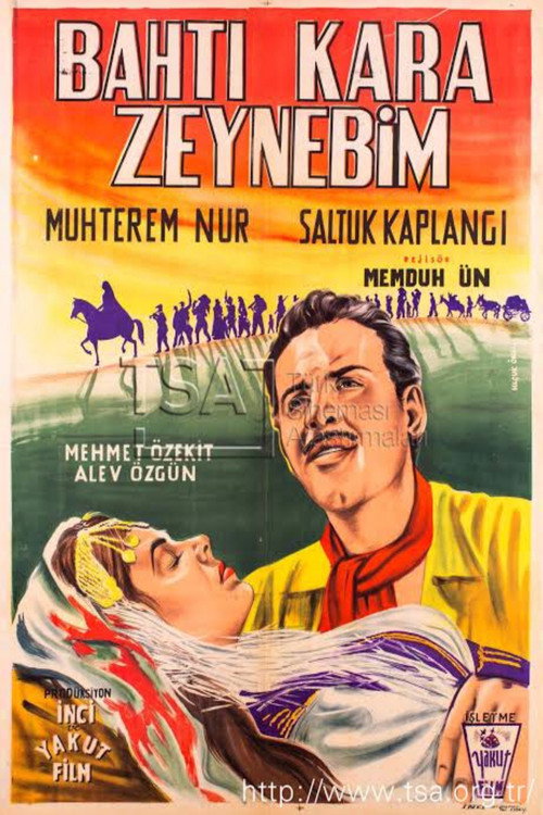 Zeynebin aski