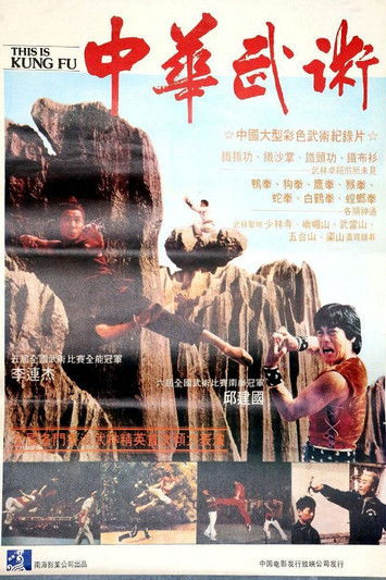 Poster for Zhong hua wu shu