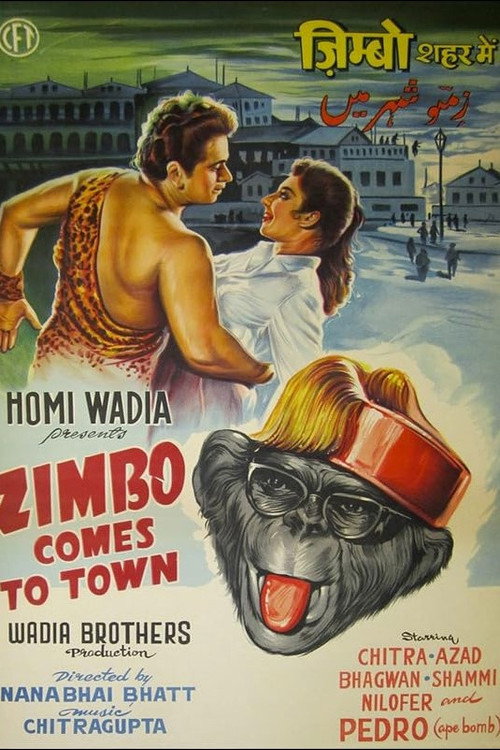 Zimbo Comes to Town