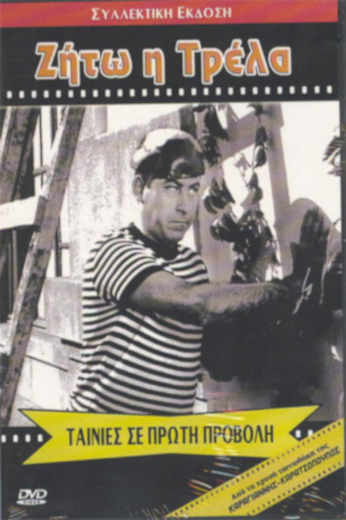Zito i trella