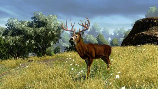 Cabela