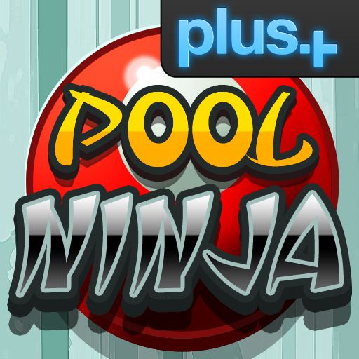 Pool Ninja (2010)