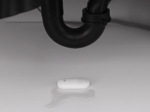 Arlo All-in-One Sensor - 8 in 1 with Open/Close Detection, Motion Sensor, Water Leak Detection, Freeze Detection, Tilt Detection, Smoke Alarm Listening, CO Alarm Listening - 1 Pack, Add-On, MS1001​ — product image