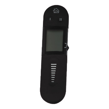 Remote Display