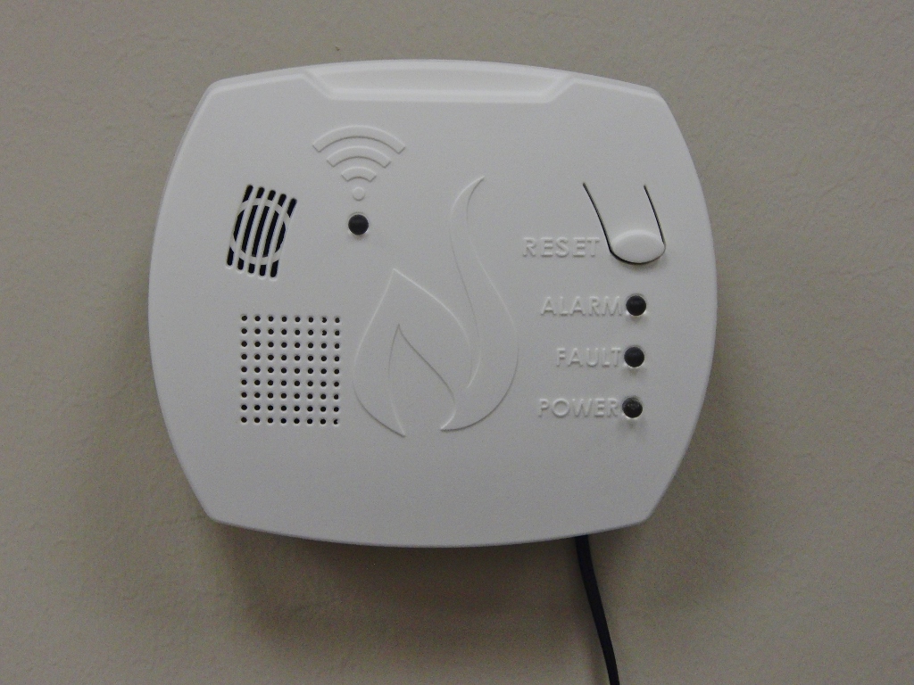 NortheastGas Association Wireless Methane Gas Detector