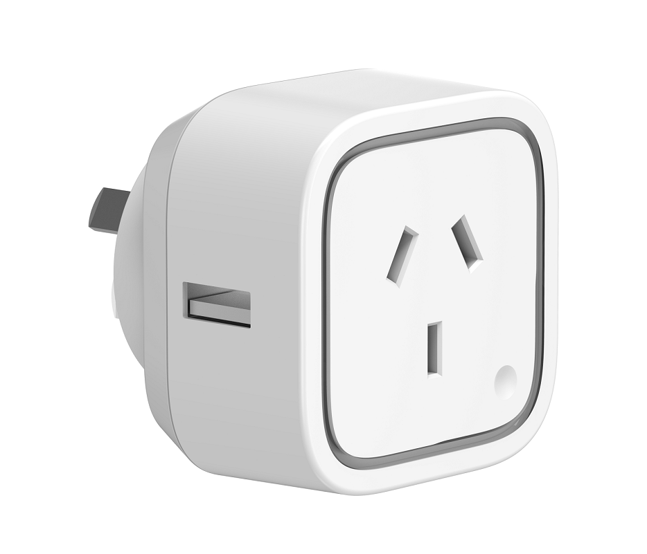 Plug
