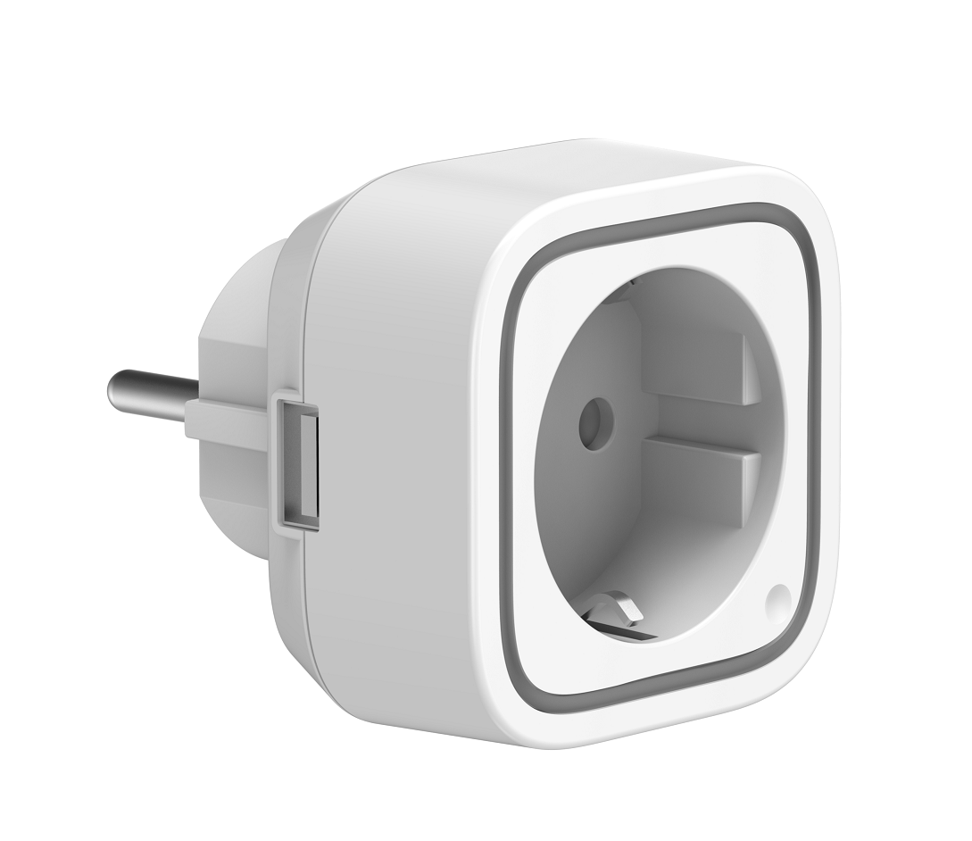 Plug