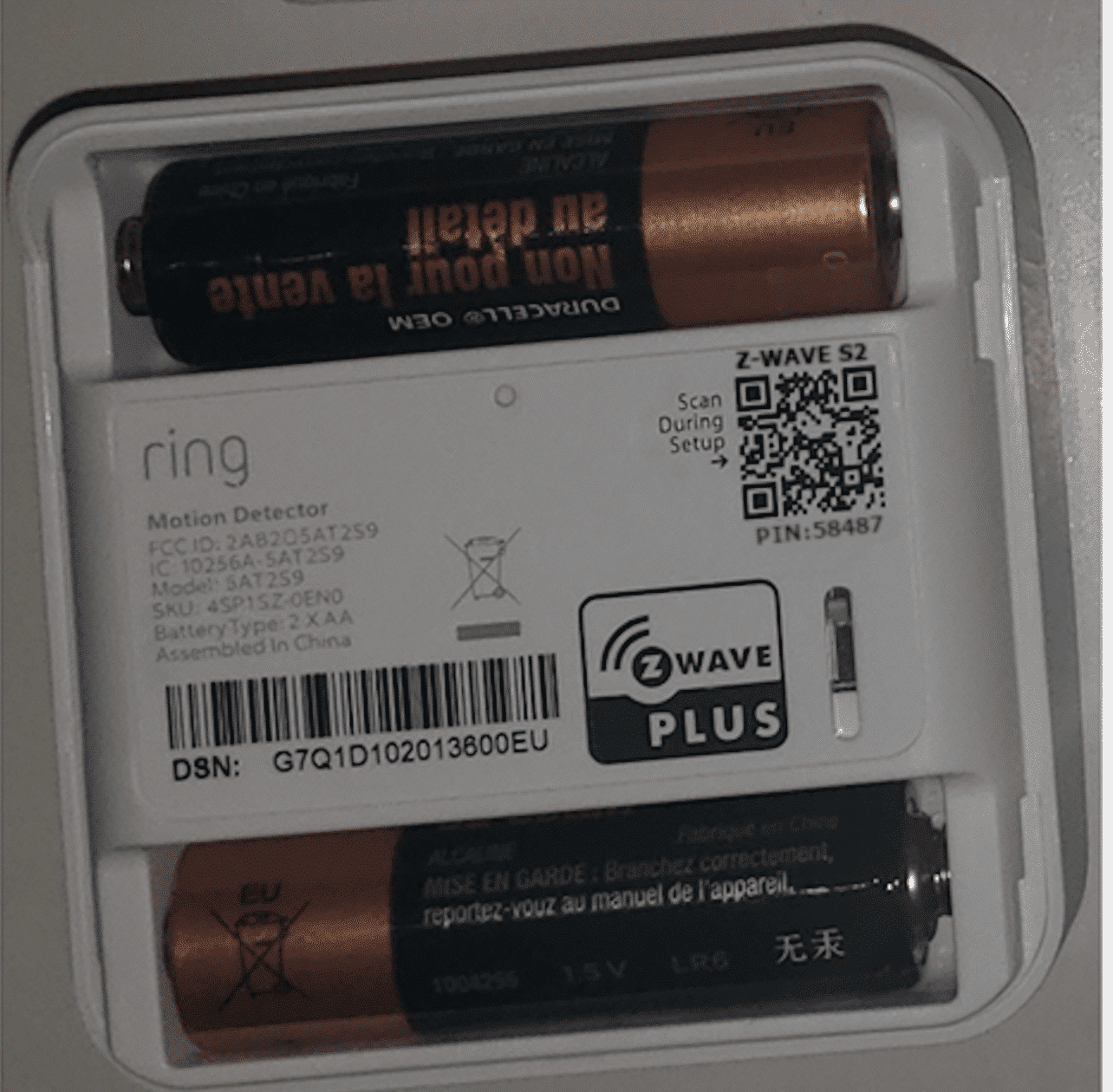 Motion Detector