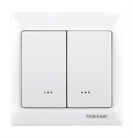 Z-Wave Dual Wall Switch