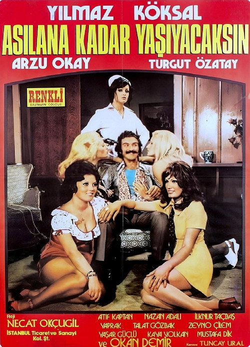Asilana Kadar Yasayacaksin