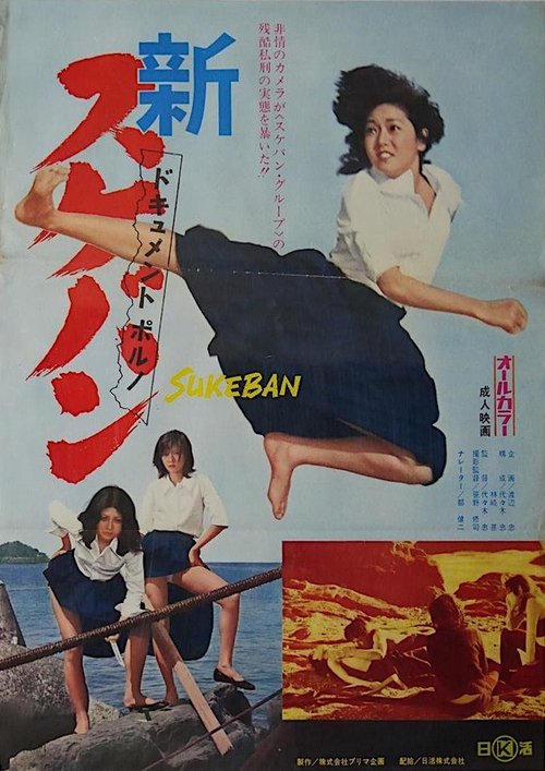 Document porno: Shin sukeban