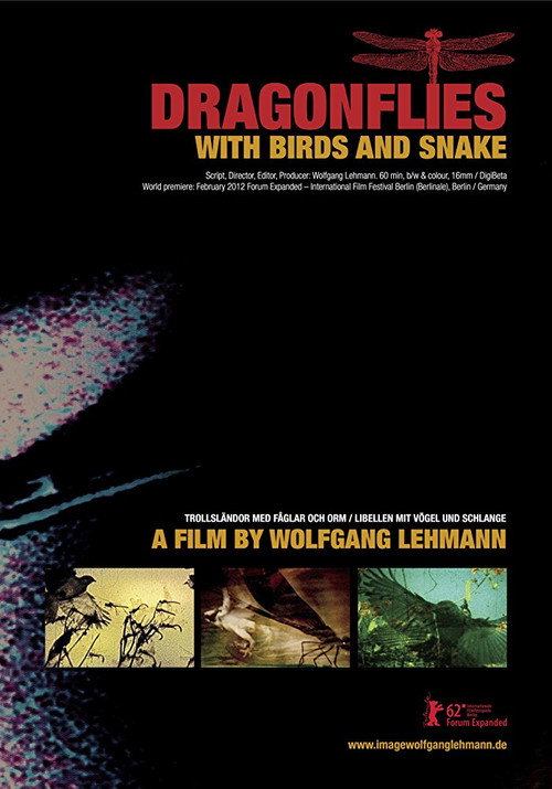 Dragonflies with Birds and Snakes