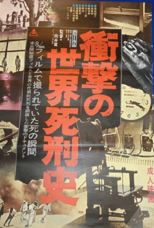 Shôgeki no sekaishi keishi