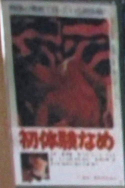 Shotaiken name