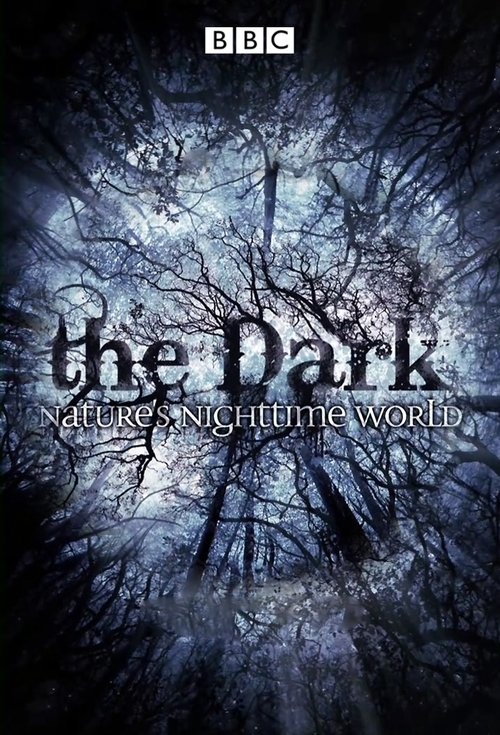 The Dark: Nature's Nighttime World — poster