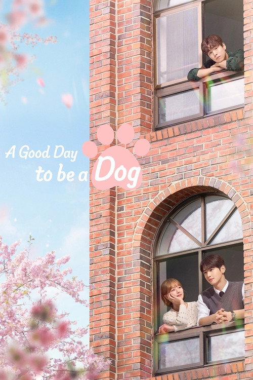 A Good Day to be a Dog