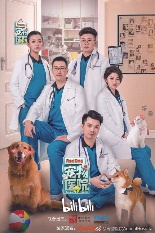 Animal Hospital