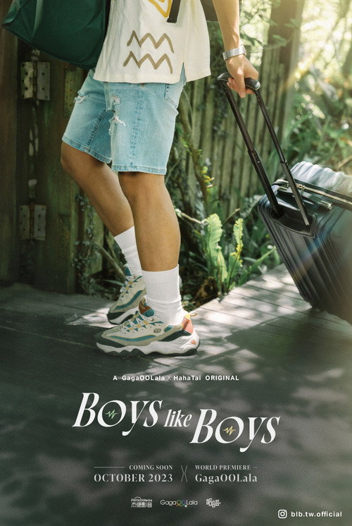 Boys Like Boys