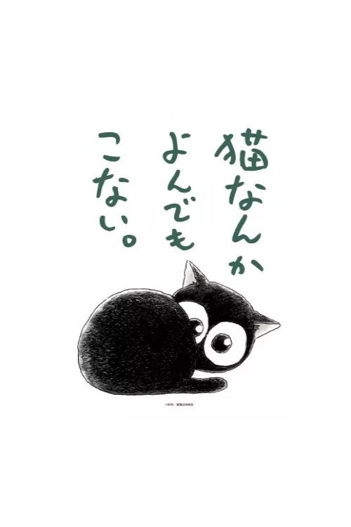 Cats Don't Come When You Call