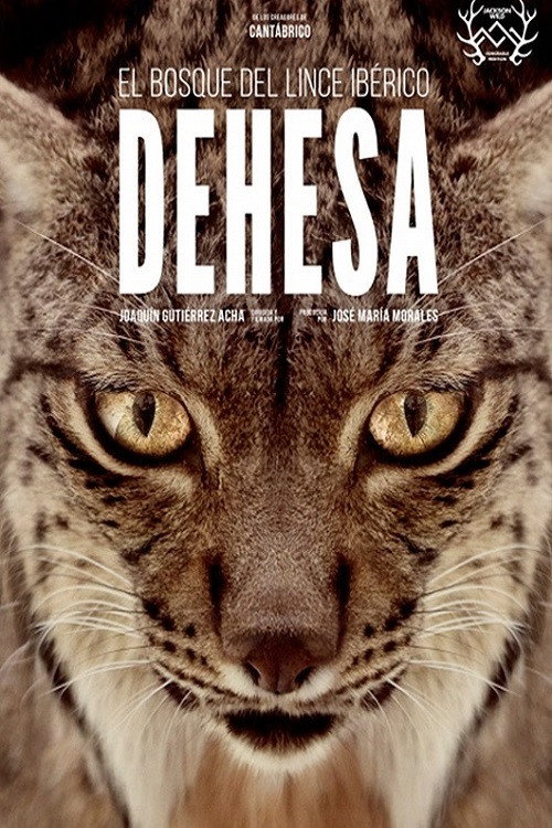 Dehesa - Forest of the Iberian Lynx