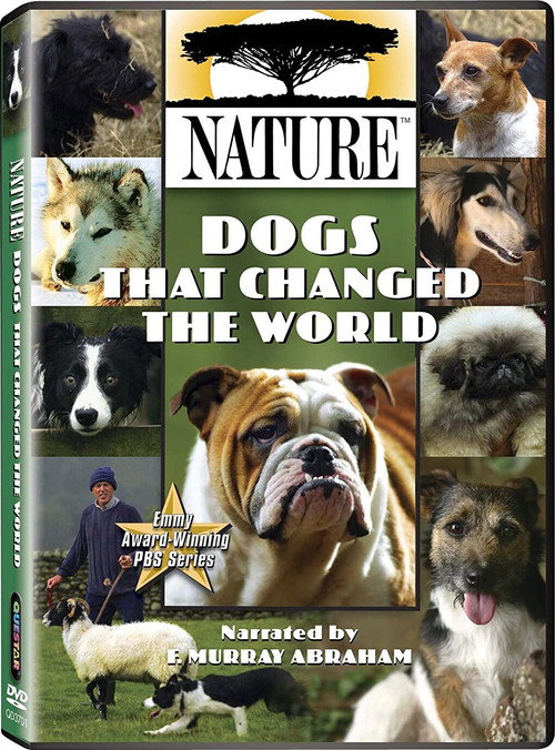 Dogs That Changed The World