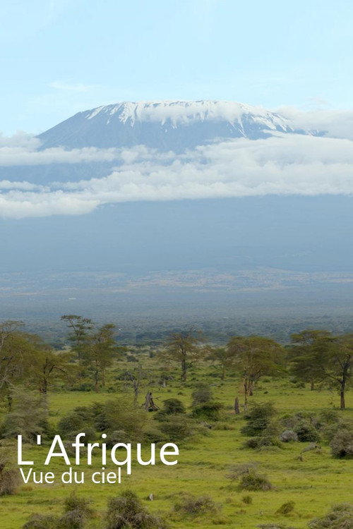 L'Afrique vue du ciel