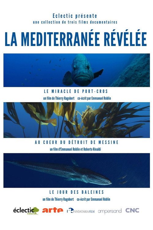 La Méditerranée révélée
