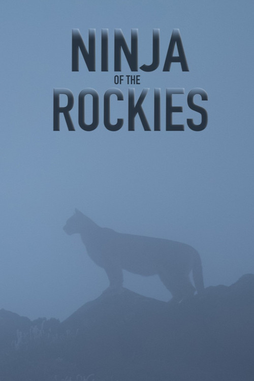 Les pumas, furtifs félins du Montana