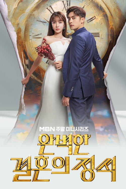 Perfect Marriage Revenge