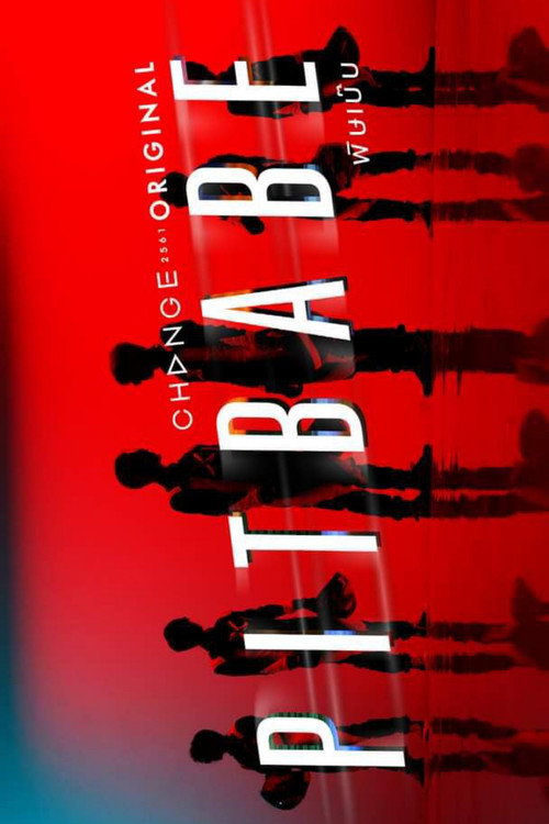 PIT BABE THE SERIES