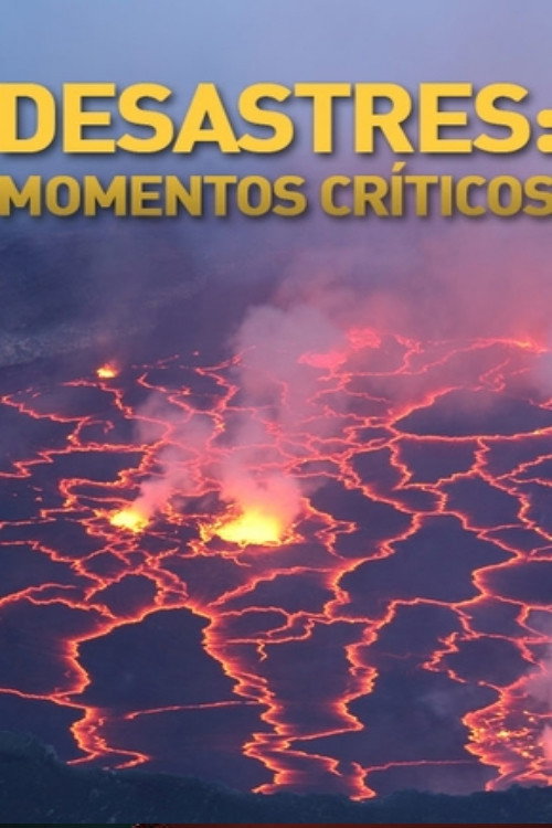 Real Time Disaster