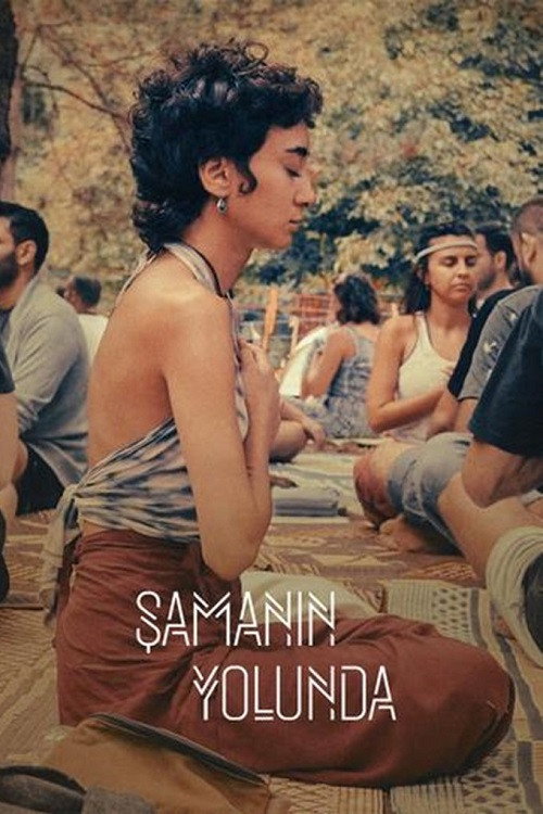 Poster for Şamanın Yolunda