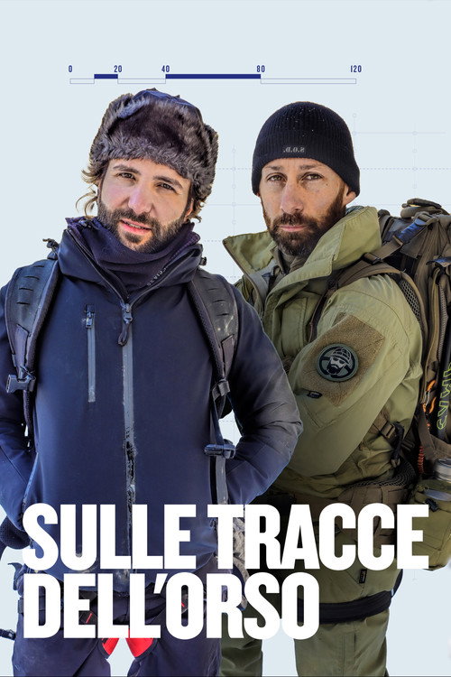 Sulle tracce dell'orso poster