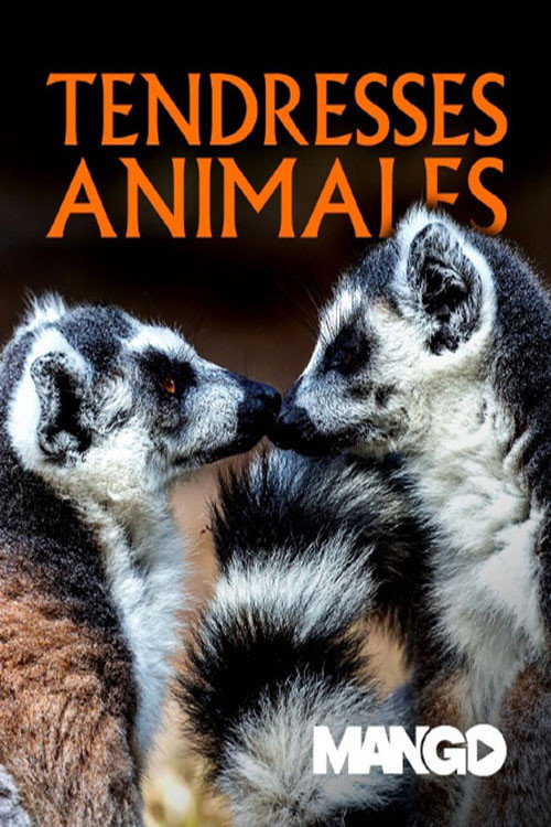 Tendresses animales
