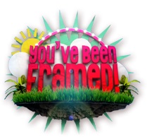 You've Been Framed! poster